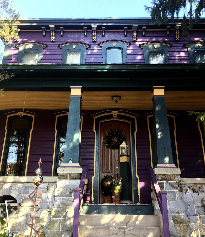 Amethyst Inn Adamstown Zewnętrze zdjęcie